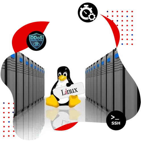Linux Dedicated Server Hosting